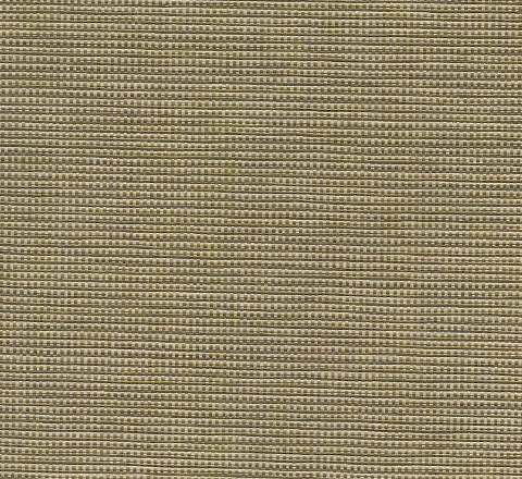 PE Wallpaper