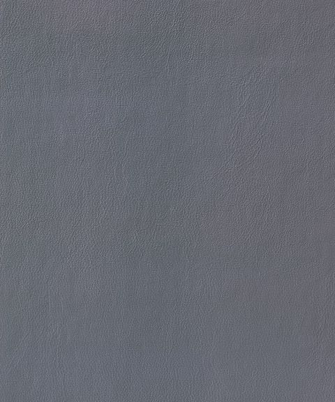 Antibacterial Composite Leather ZEN