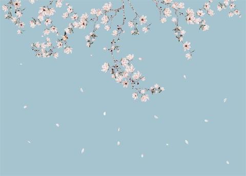 Printed Wallpaper