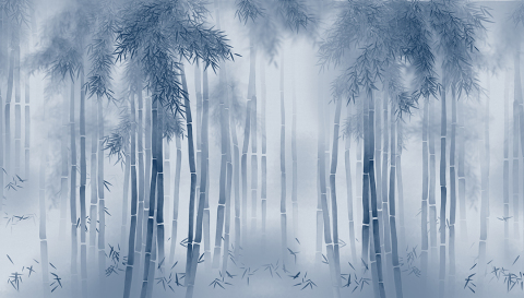 Printed Wallpaper