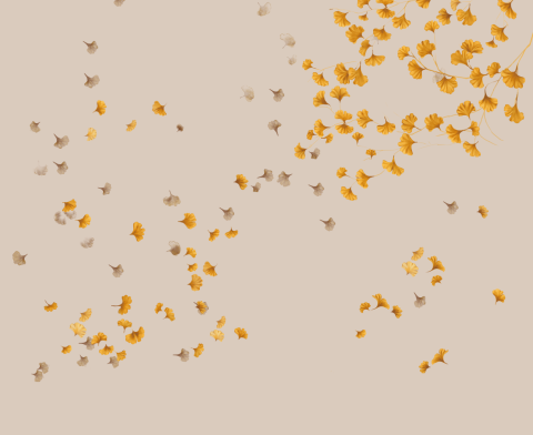 Printed Wallpaper