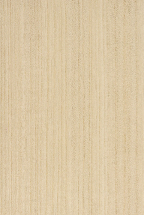 Natural Wood Veneer