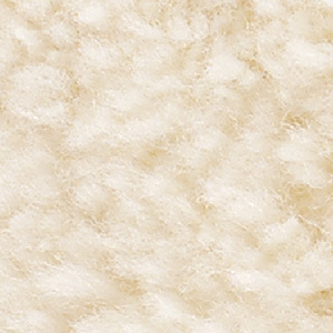 Japanese Rug