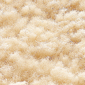 Japanese Rug