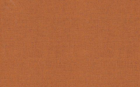 Curtain Fabric