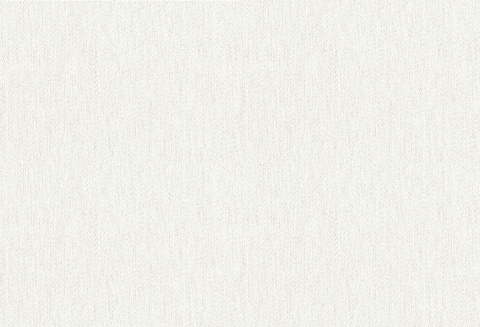 Curtain Fabric