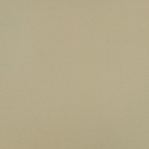 Curtain Fabric