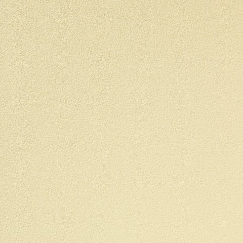 Vinyl Wallpaper