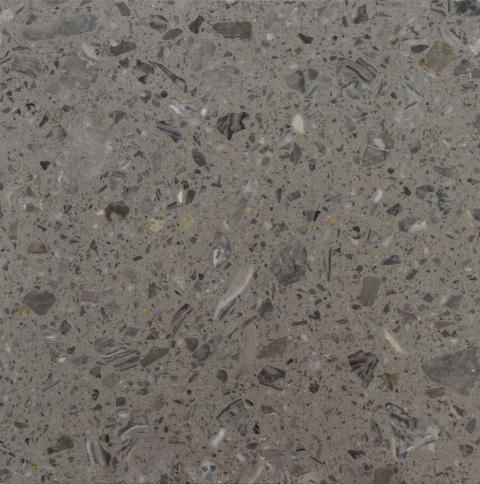 Grey Organic Stone
