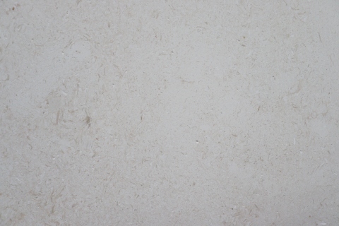Shell White