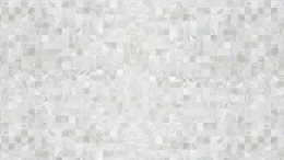 Shell Mosaic