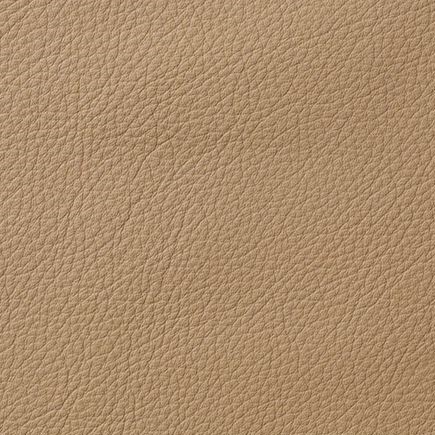 Avion Leather