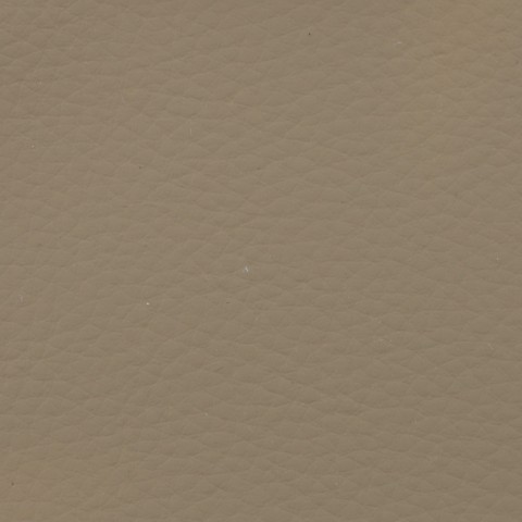 Eco Leather