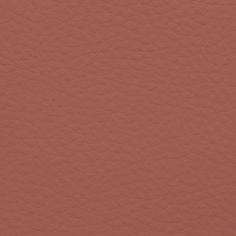 Eco Leather