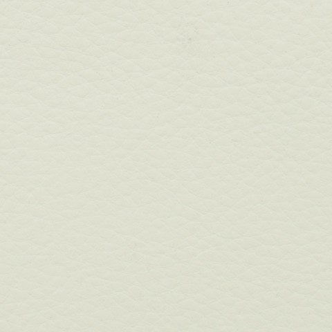 Eco Leather