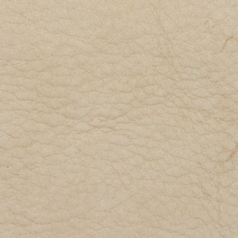 Imported Genuine Leather