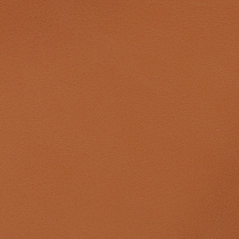 Faux Leather