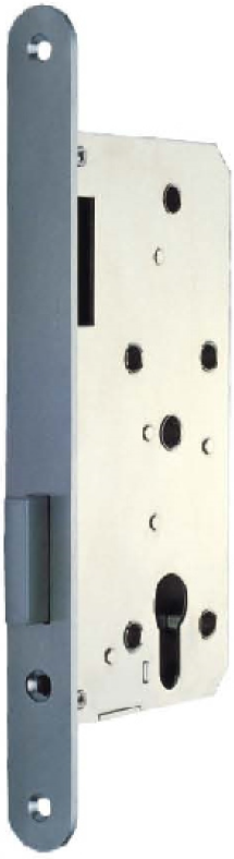 Lock Body