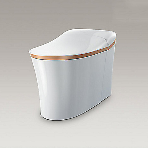 Integrated Smart Toilet