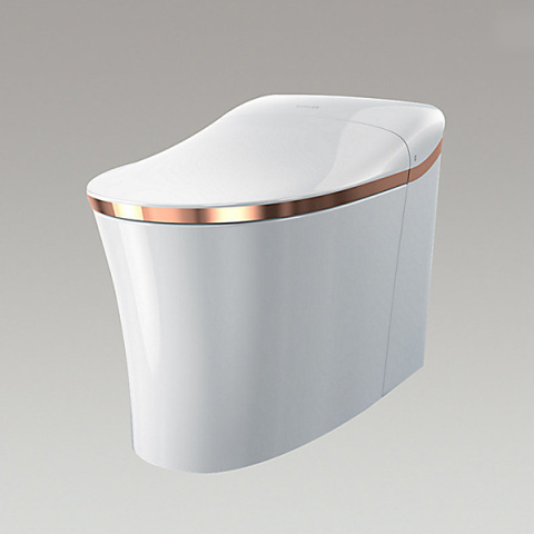 Smart Toilet