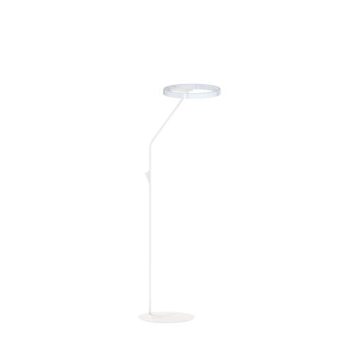 Flatern Halo Floor Lamp